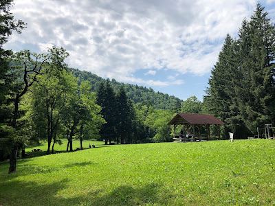 Trešnjik — fotografia 3