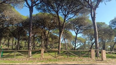 Área Recreativa El Jarillo — fotografia 5
