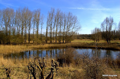 Natuurpark Lelystad — fotografia 3