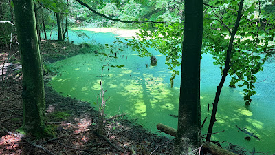 Lacul Cuejdel — fotografia 5