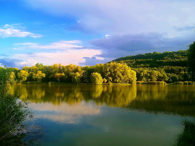 Dark Valley Forest Park — fotografia 4