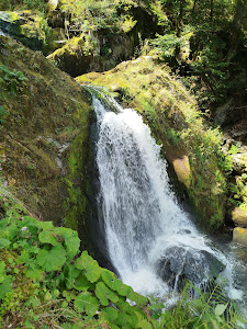 Cascada Triberg — fotografia 4