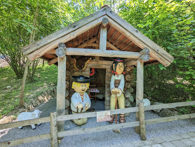 Fairytale forest — fotografia 3