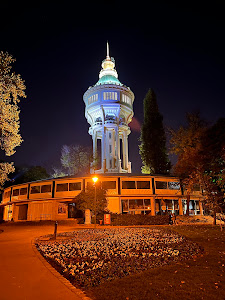 Margaret Island Water Tower — fotografia 3