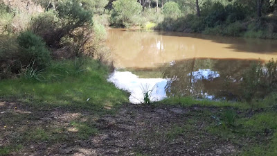 Laguna de El Portil — fotografia 2