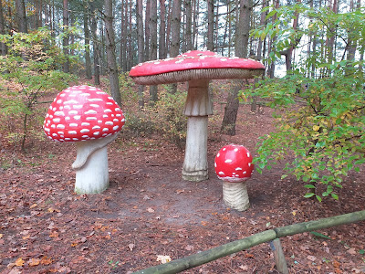 Park Grzybowy — fotografia 5