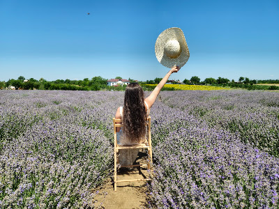 Livada cu lavanda