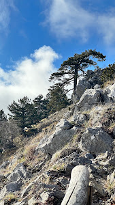 Belvedere Malvento