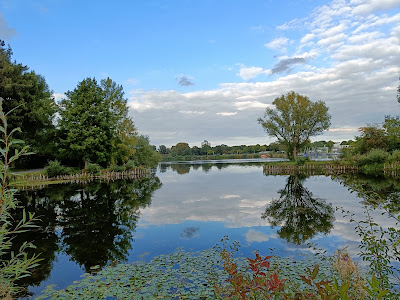 Salzgittersee — fotografia 4