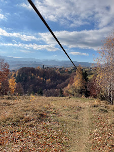 Tiroliana Casa Tăbăcaru — fotografia 4