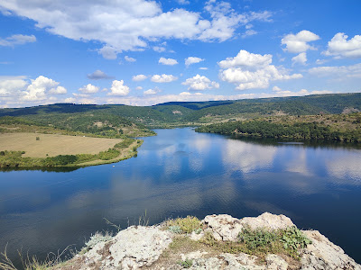 яз. Пчелина