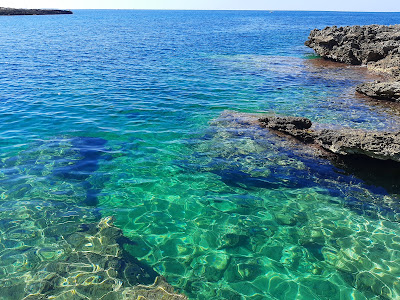 Spiaggia di Porto Selvaggio — fotografia 5