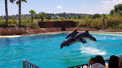 Attica Zoological Park — fotografia 3