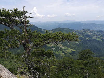Observation Deck Crnjeskovo — fotografia 4