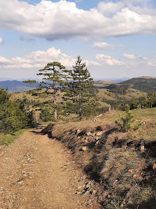 Kraljev Sto — fotografia 4