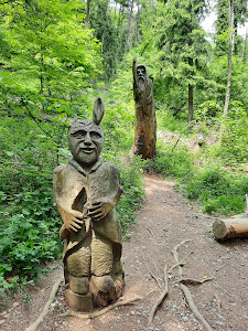 Sentiero Spirito Del Bosco — fotografia 5