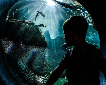CRETAquarium Thalassokosmos