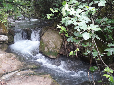 Sendero Río Majaceite — fotografia 5