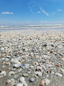 Plaja Navodari — fotografia 5