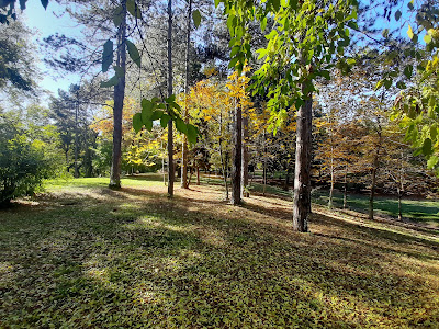 Дворска Башта — fotografia 4