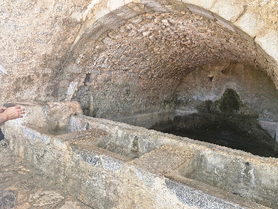 Μνημειακός Πλάτανος — fotografia 3