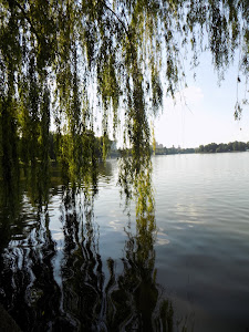 Lacul Herăstrău — fotografia 5