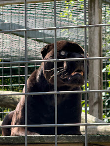 Skærup Zoo — fotografia 5