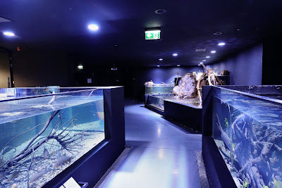 Aquatika — fotografia 5