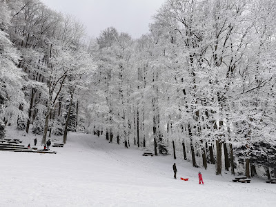 Činovnička livada — fotografia 5