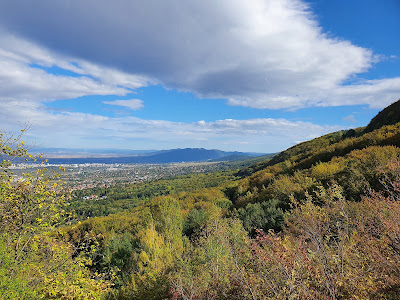 Observation deck