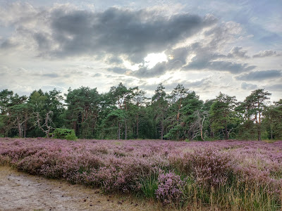 Camping De Hoogte — fotografia 5