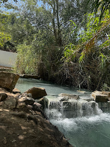 Baños de la Hedionda de Casares - Espacio Natural — fotografia 4