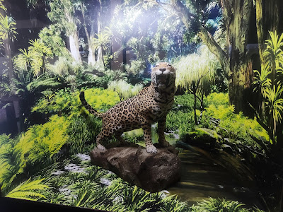 Natural Sciences Museum Cherni Osam — fotografia 5