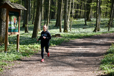 City Forest Giżycko — fotografia 4