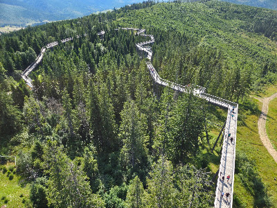 Treetop Walk Bachledka — fotografia 3