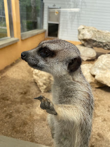 Private Zoo Sedlec — fotografia 4