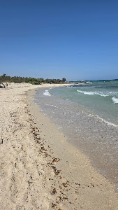 Spiaggia di Torre Guaceto