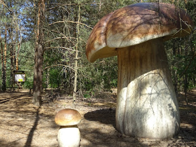 Park Grzybowy — fotografia 3