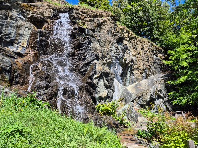 Klagenfurt Botanical Garden — fotografia 5