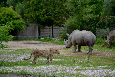 Zoo Schmiding / Museum - meeting of cultures — fotografia 5