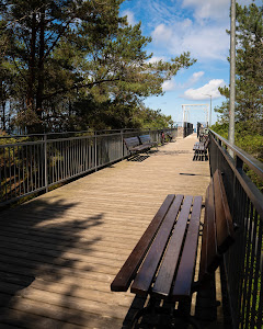 SeaCamp Rogowo — fotografia 5