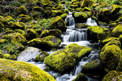 Geotop Leyenbach-Wasserfall — fotografia 5