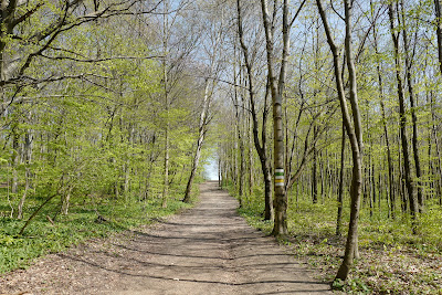 Kreuzeichenwiese — fotografia 5