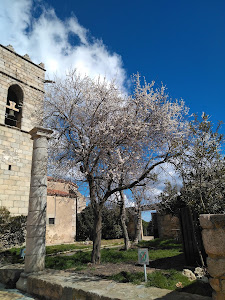 Parc del Montnegre i el Corredor — fotografia 3