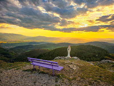 Bench with a scenic view