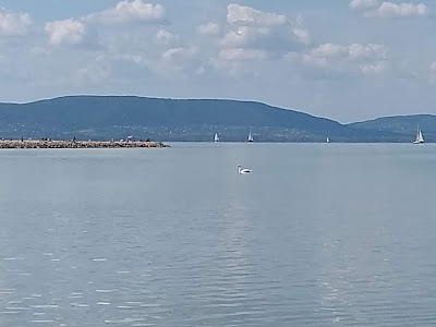 Balatonfenyves Lower open beach — fotografia 4