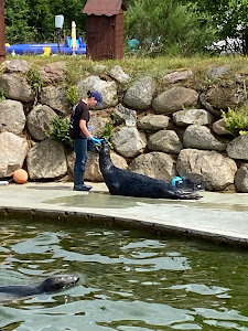 Charlotta Valley Seal Sanctuary — fotografia 4