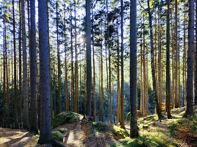 Nature reserve Boulders Dwarfs — fotografia 4