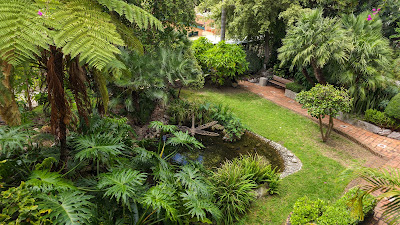 Gibraltar Botanic Gardens — fotografia 5