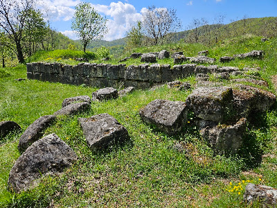 Cetatea Dacică Costești — fotografia 3